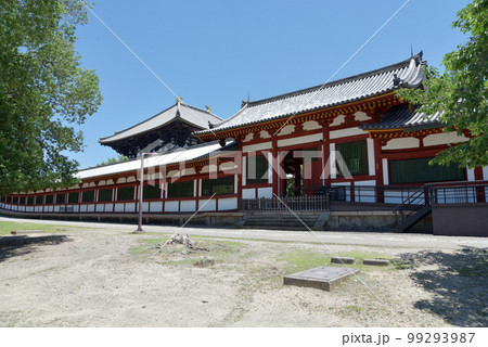 東大寺 西回廊の西楽門と大仏殿 奈良県奈良市 東大寺 西回廊の西楽門と大仏殿 奈良県奈良市 99293987