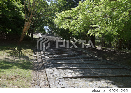 東大寺 鐘楼への参道 奈良県奈良市 東大寺 鐘楼への参道 奈良県奈良市 99294296