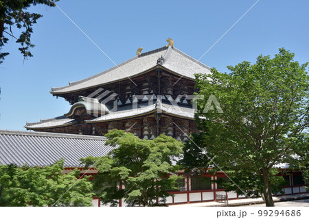 東大寺　大仏殿　奈良県奈良市 99294686