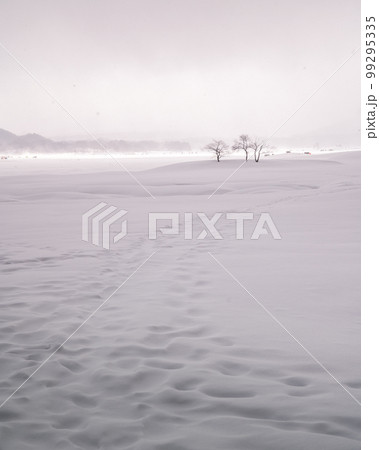 福島県北塩原村 檜原湖の雪原 福島県北塩原村 檜原湖の雪原 99295335