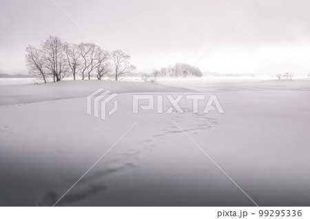 福島県北塩原村　檜原湖の雪原 99295336