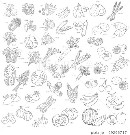 食材～野菜とフルーツ・線画～ 99296717