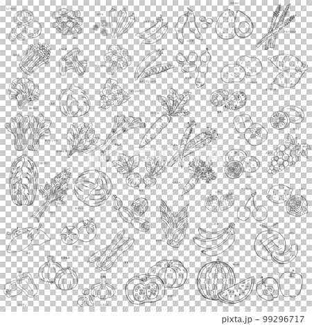 食材～野菜とフルーツ・線画～ 99296717