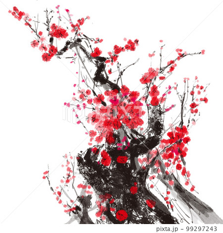 梅 四君子 花 99297243