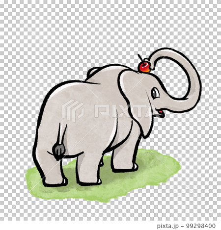 ゾウ イラスト ゾウ イラスト 99298400