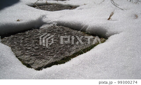 雪国の春の訪れザラメ雪 99300274