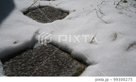 雪国の春の訪れザラメ雪 99300275