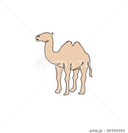 One single line drawing of desert Arabian camel for logo identity. Cute mammal animal concept for livestock husbandry icon. Trendy continuous line draw design graphic vector illustration One single line drawing of desert Arabian camel for logo identity. Cute mammal animal concept for livestock husbandry icon. Trendy continuous line draw design graphic vector illustration 99300393