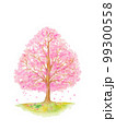 桜の木の水彩イラスト 99300558