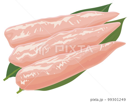 鶏のささみ 鶏のささみ 99301249