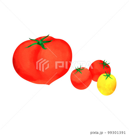トマトとプチトマトの水彩風イラスト 99301391