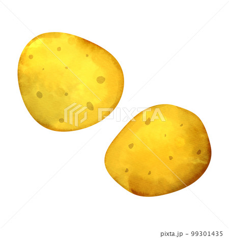 ジャガイモの水彩風イラスト ジャガイモの水彩風イラスト 99301435