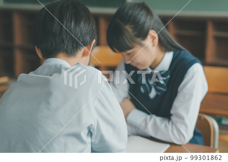 Middle school Middle school 99301862