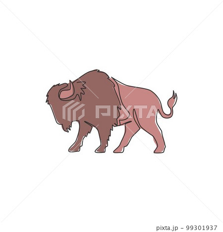 American Bison Bull Drawings