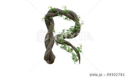Tree grow or vine in the shape of the English text. Letter font R. 99302781