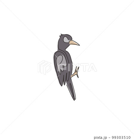 One continuous line drawing of cute woodpecker on tree. Beak drummer bird mascot concept for national zoo icon. Modern single line draw design graphic vector illustration 99303510
