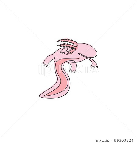 Single continuous line drawing of beauty axolotl for company logo identity. Mexican walking fish mascot concept for aquatic creature icon. Modern one line draw design vector graphic illustration 99303524