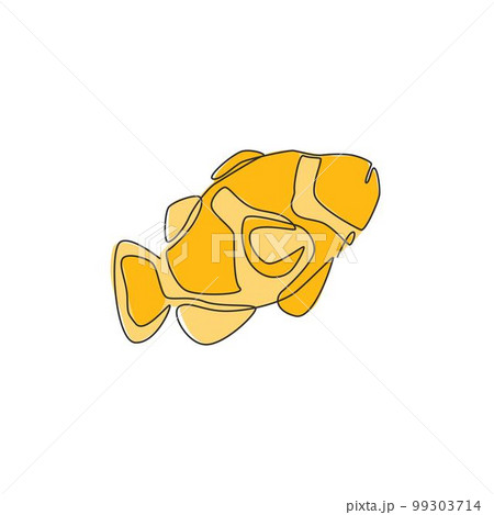 How easy to draw a clown fish step by step drawings  EASY TO DRAW  EVERYTHING