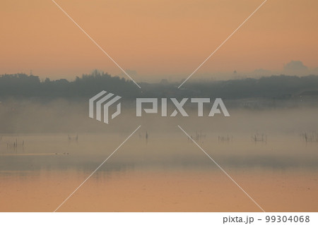 印旛沼の日の出の風景 99304068
