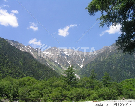 穂高連峰と新緑の森 99305017