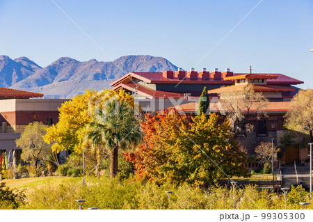 Sunny exterior view of the Centennial Museum of The University of Texas at El Paso Sunny exterior view of the Centennial Museum of The University of Texas at El Paso 99305300