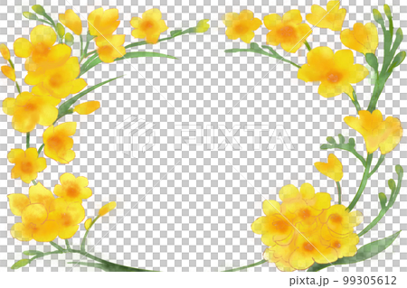 freesia frame 1 99305612