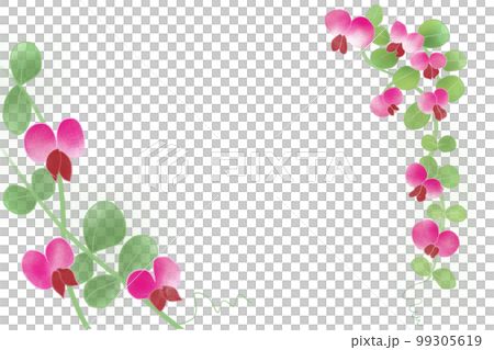 pea pea 99305619
