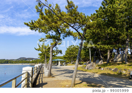 海の公園の風景（神奈川県横浜市金沢区） 99305999