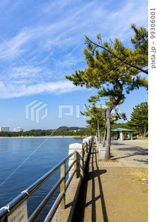 海の公園の風景(神奈川県横浜市金沢区) 海の公園の風景(神奈川県横浜市金沢区) 99306001
