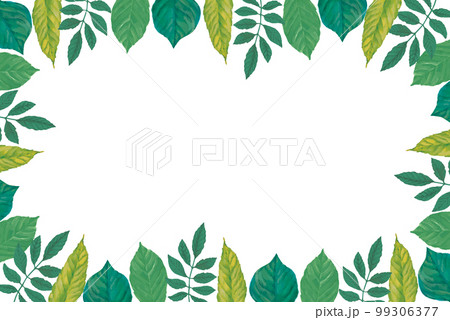新緑の瑞々しい青葉の手描きフレーム背景 99306377