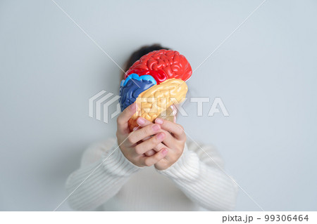 Woman holding human Brain model. World Brain Tumor day, Brain Stroke, Dementia, alzheimer, parkinson and world mental health concept 99306464