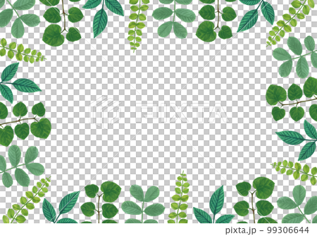Fresh green fresh green leaves hand drawn frame background 99306644