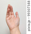 手のひら 99307388