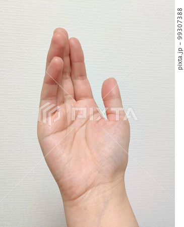 手のひら 手のひら 99307388