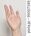 手のひら 99307389