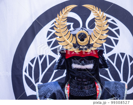 徳川家康 レプリカ甲冑・兜・鎧 徳川家康 レプリカ甲冑・兜・鎧 99308527