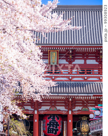 4月東京・浅草 浅草寺の宝蔵門と仲見世に咲く桜 4月東京・浅草 浅草寺の宝蔵門と仲見世に咲く桜 99308923