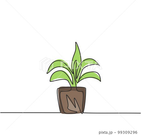 Single one line drawing of potted plants with five growing leaves are used for ornamental plants. Fresh green plants to the eye in the living room. One line draw design graphic vector illustration. Single one line drawing of potted plants with five growing leaves are used for ornamental plants. Fresh green plants to the eye in the living room. One line draw design graphic vector illustration. 99309296