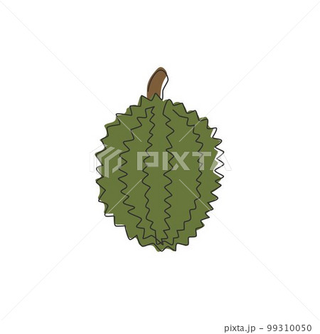 One continuous line drawing whole healthy organic durian for orchard logo identity. Fresh exotic thai fruitage concept for fruit garden icon. Modern single line draw design graphic vector illustration 99310050