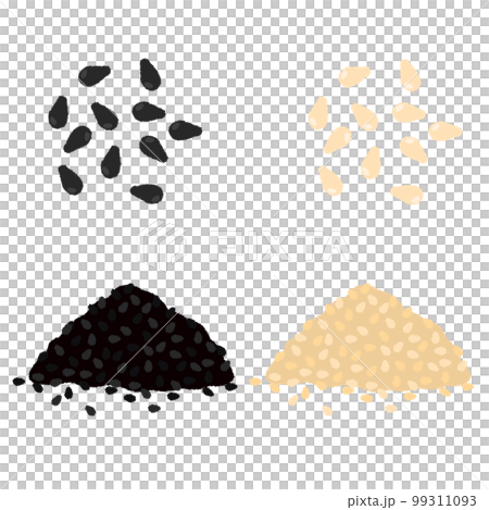 Illustration of sesame 99311093