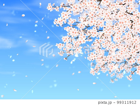 桜 青空 桜吹雪 99311912