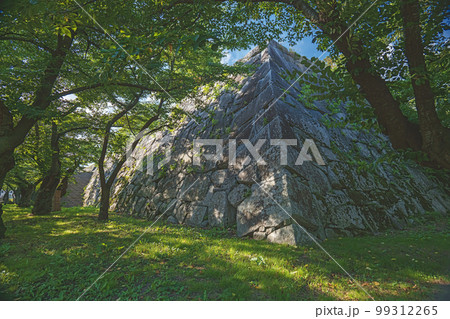 岩手 盛岡城 本丸石垣 99312265