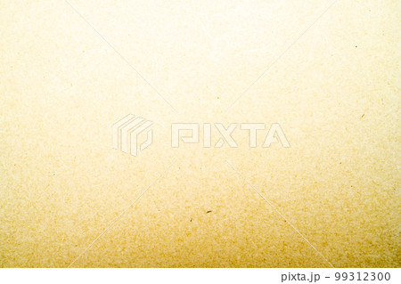 テクスチャー 99312300