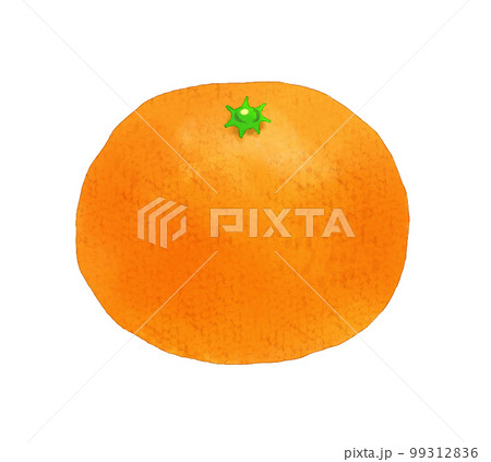 水彩風のみかん 99312836