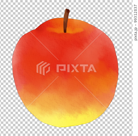 Watercolor-style apples 99312837