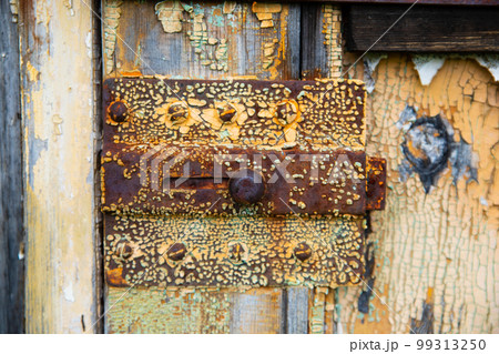 Rusty metal bolt and latch close-up on old shabby wooden door. Chunks of paint, peeling paint, corrosion of metal, Rusty metal. Decay and ruins. Rusty metal bolt and latch close-up on old shabby wooden door. Chunks of paint, peeling paint, corrosion of metal, Rusty metal. Decay and ruins. 99313250