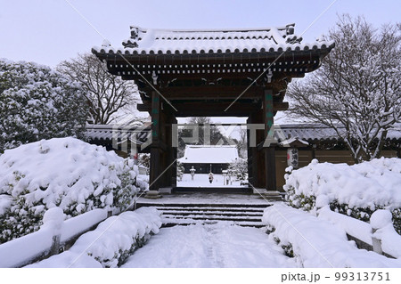 積雪の京都市岩倉妙満寺 山門から望む本堂 99313751