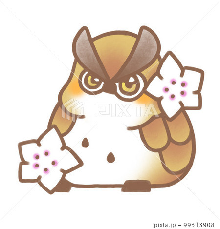 白い花とミミズク 白い花とミミズク 99313908