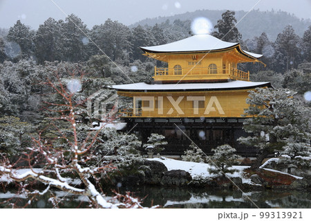 世界遺産　雪景色の金閣寺　鳳凰に雪の帽子　鹿苑寺　京都市　北山文化 99313921