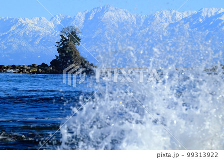 波打ち寄せる冬の雨晴海岸　女岩と雪の立山連峰 99313922